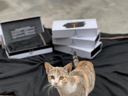 Junaid Jamshed Inspired Premium Wool Gents Black Shawl